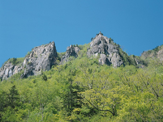 45334 (a): :1600x1200